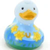 Luxury Daffodil Duck