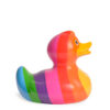 Luxury Rainbow Duck