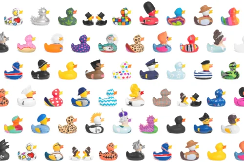 About Bud Ducks