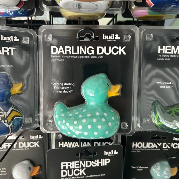 Luxury Darling Duck