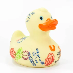 Luxury International Duck