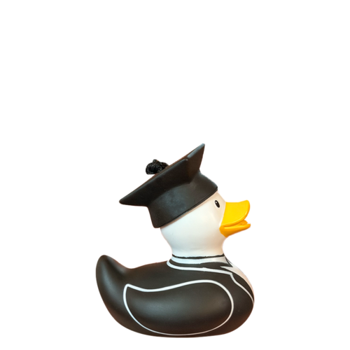 MINI GRADUATE-NEW Mini Deluxe Graduate Duck