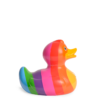 Luxury Rainbow Duck