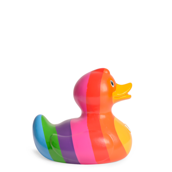 Luxury Rainbow Duck