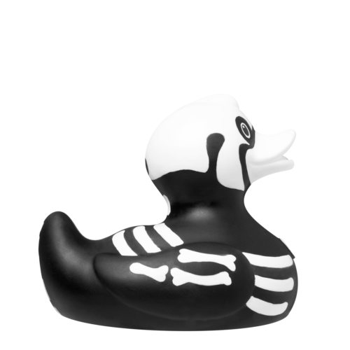 X-Ray Duck for website Luxury X-Ray Duck