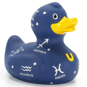 Zodiac-Rubber-Duck-Bud-Duck-5 Luxury Zodiac Duck