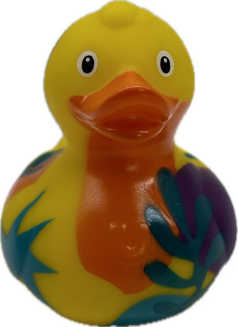 Luxury Cut Outs Duck