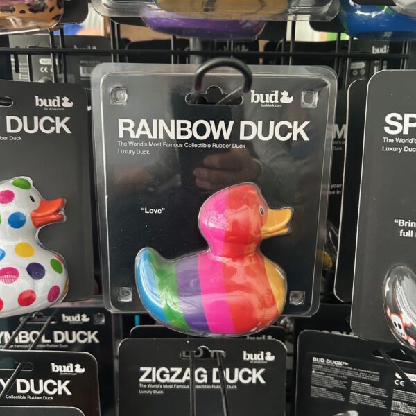 Luxury Rainbow Duck